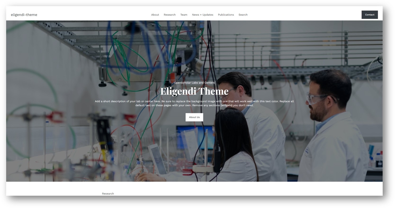 Eligendi template preview