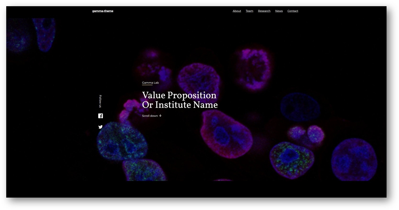 Gamma Template preview