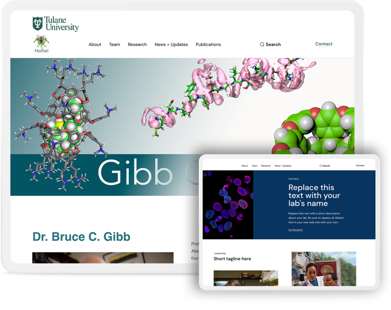 Tulane University, Gibb Group - Site Gallery