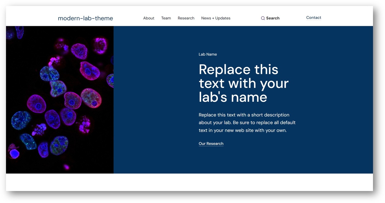 Modern Lab template preview