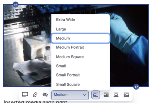 Upgrade Rich Text editor image sizes