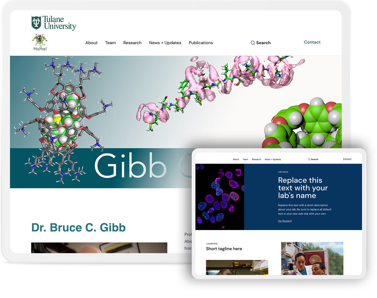 Tulane University, Gibb Group - Site Gallery