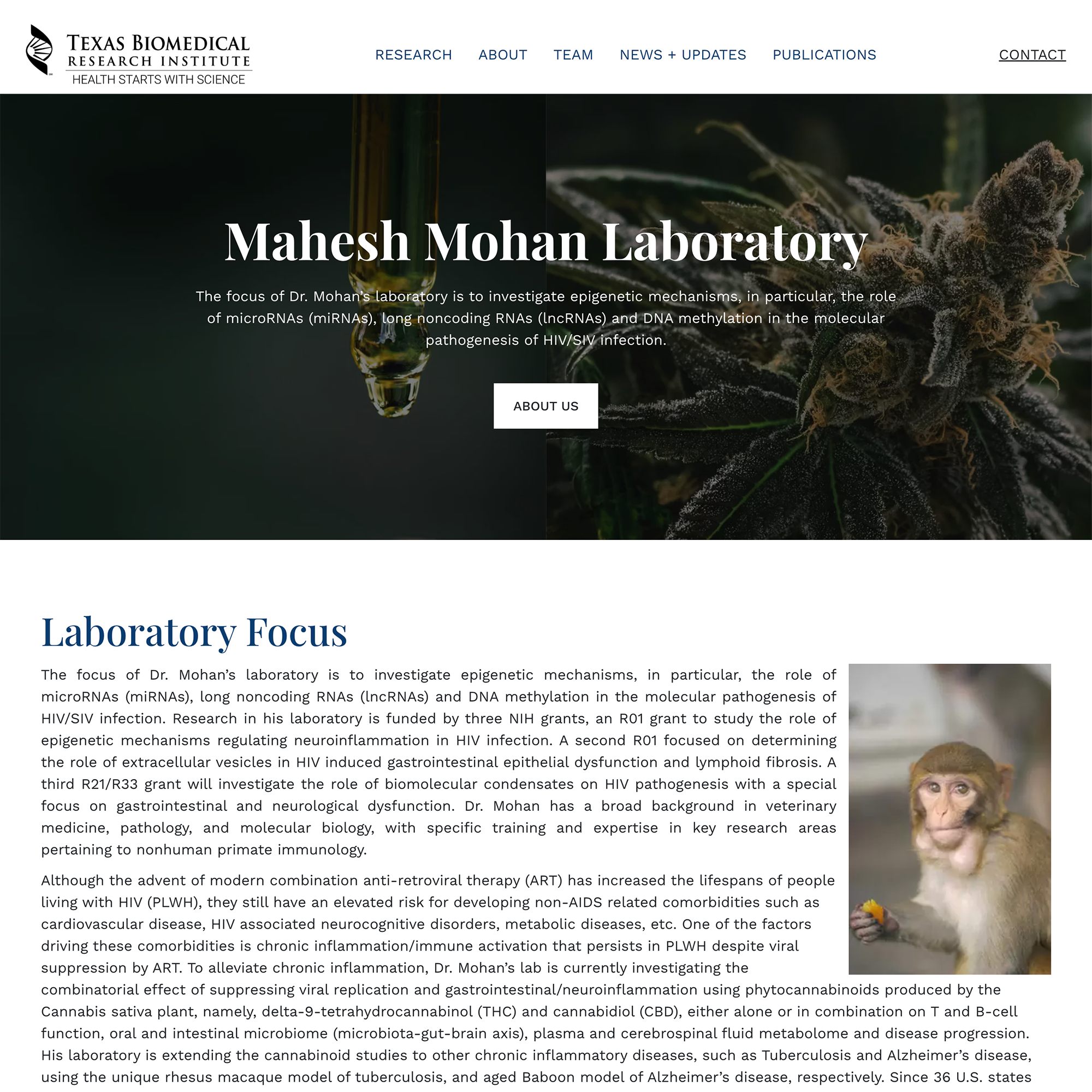 Mahesh Mohan Lab